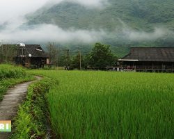 Home-stay-Du-Gia-lua-xanh-TEO00277-1024×576-1