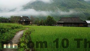 Home stay Du Gia lua xanh TEO00277 1024x576 1