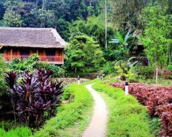 Panhou Retreat – Đánh giá chi tiết về khách sạn độc đáo giữa lòng Hà Giang Panhou-Retreat-Ha-Giang