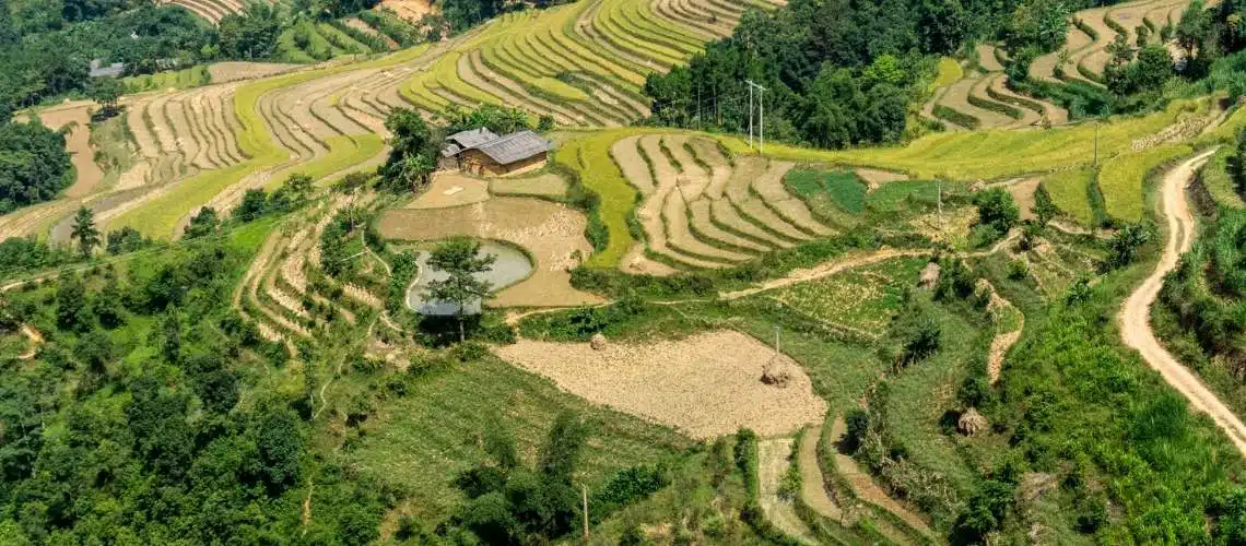 Ăn sáng tại Hoang Gia Hotel