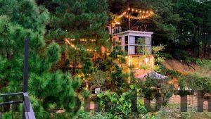 a18d79f6 the homie soc son thumb