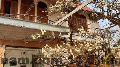 Phòng ngủ rộng rãi và thoải mái tại khách sạn Thanh Bình, với giường ngủ thoải mái và không gian sạch sẽ.