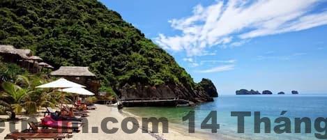 Không gian sinh hoạt chung tại Catba Green Hotel