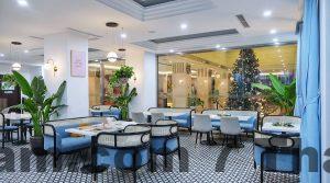 bao son international