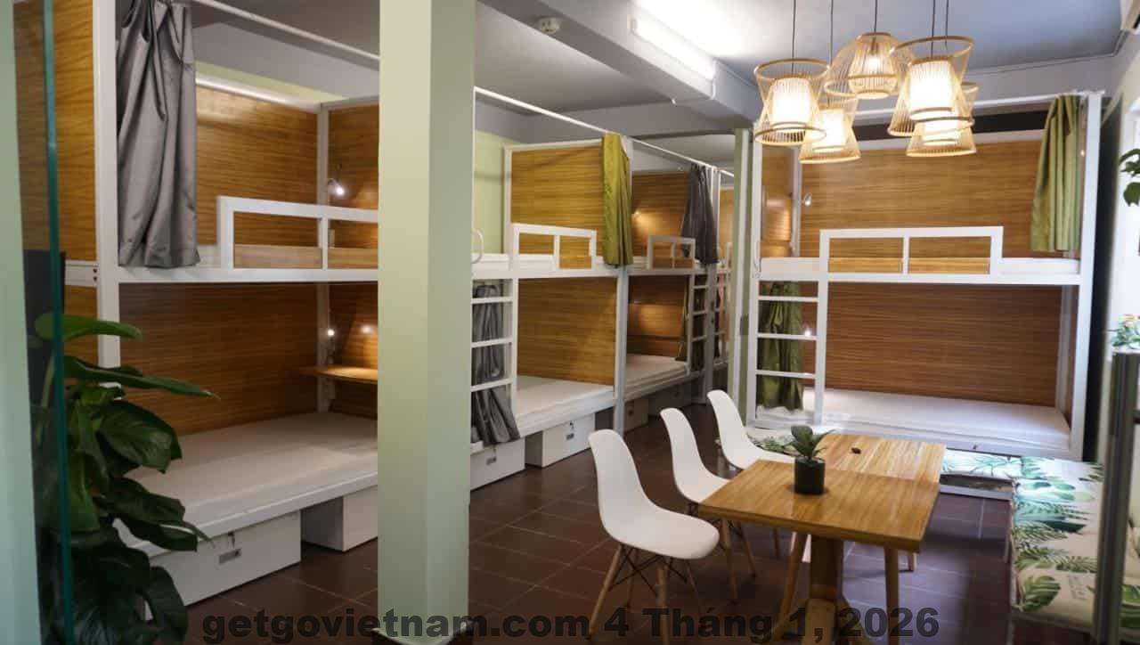 Phòng dorm giường tầng phong cách hostel tương tự New Comb Hostel