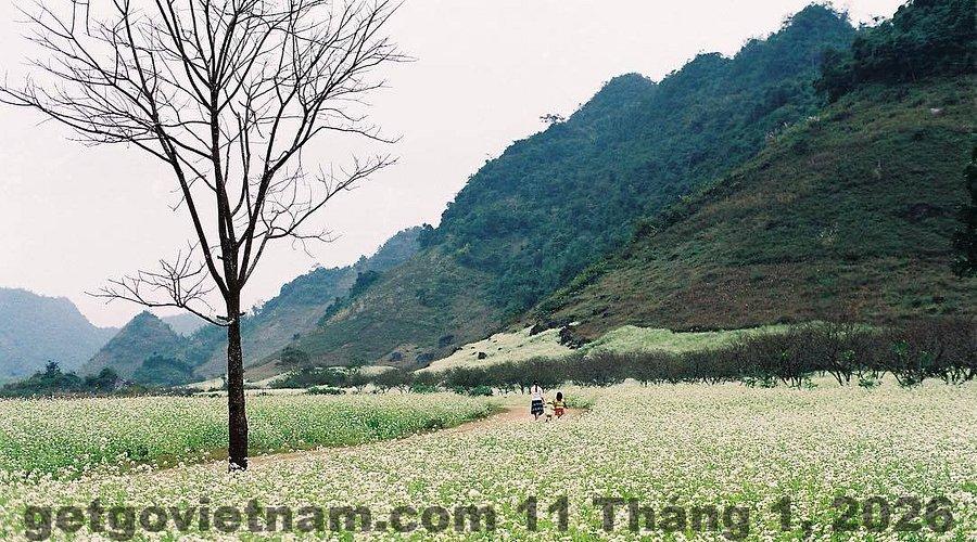 Các quán ăn địa phương gần khách sạn Hoa Anh Đào Lai Châu, tiện lợi cho khách lưu trú