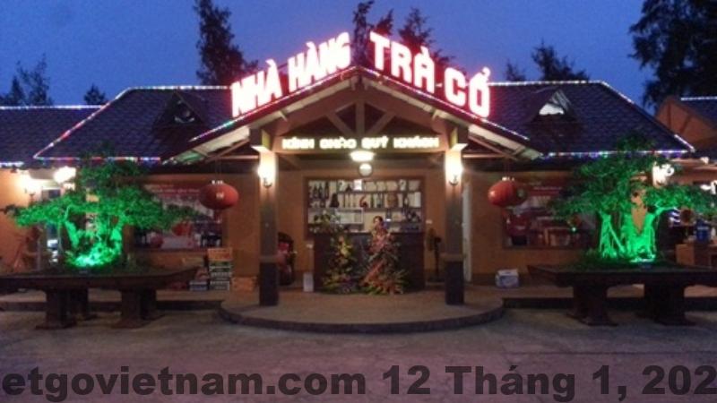 cam nang kinh nghiem du lich tra co quang ninh 202107061319021291