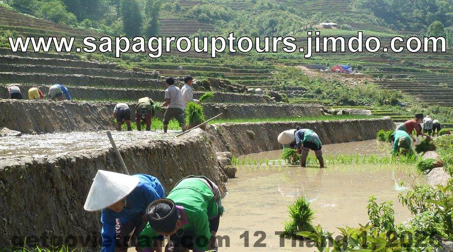 Khu vực trung tâm thành phố Lào Cai gần Hotel A18, thuận tiện ăn uống và di chuyển