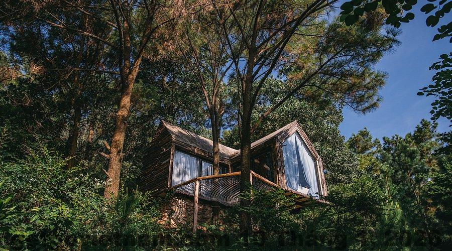 Đường vào khu Sausau Garden Sóc Sơn nhỏ, nhiều cây rừng, khá tối vào buổi tối nhưng tạo cảm giác biệt lập