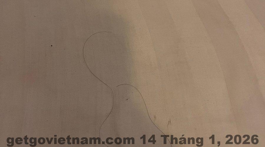 Hành lang và không gian bên trong Ohana Hotel