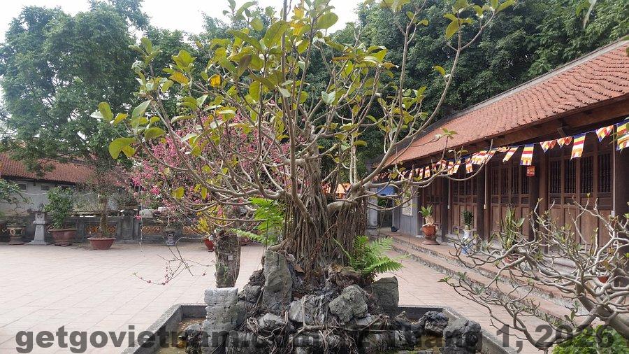 Vị trí Lotus Hotel 2 Bắc Ninh thuận tiện di chuyển tới chùa Dâu, chùa Bút Tháp và các khu công nghiệp