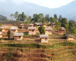 dao-lodge-homestay-ha-giang-noi-tan-huong-hoi-tho-cua-nui-rung-1665257217