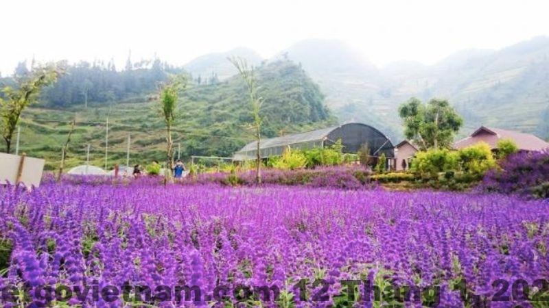 Khu vực trung tâm Bắc Hà gần chợ phiên và các điểm tham quan nổi tiếng