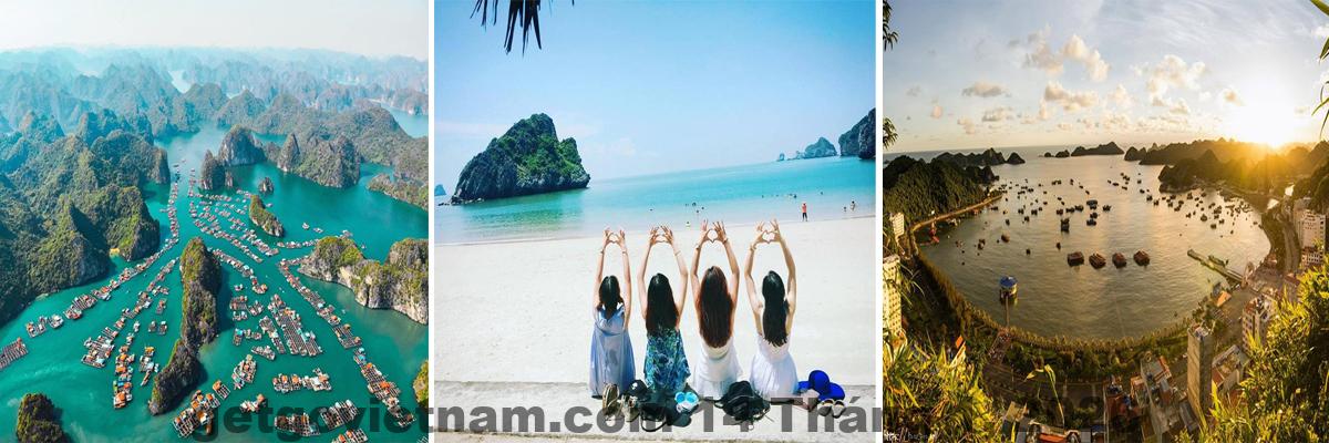 Ẩm thực địa phương Cát Bà – lựa chọn phổ biến của khách lưu trú