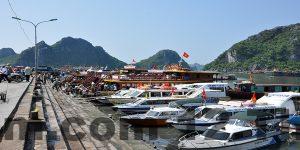 du lich dao co to cung dich vu an nghi di lai tai hung phuong hotel1