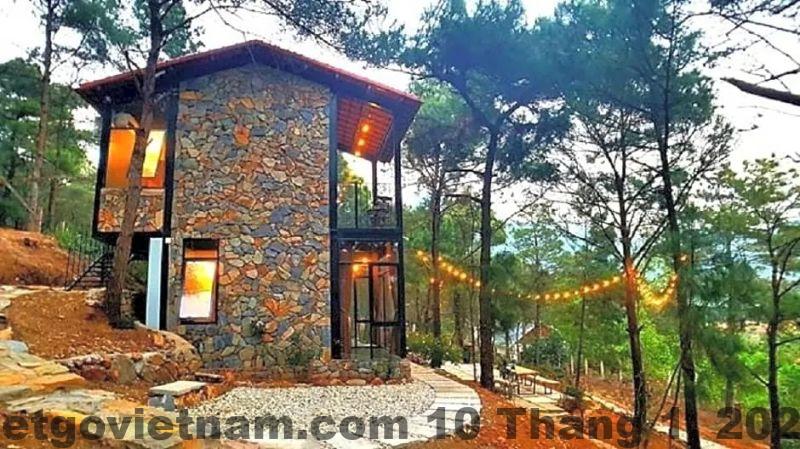 Đường di chuyển vào The Moonlight Villa Sóc Sơn qua khu rừng thông