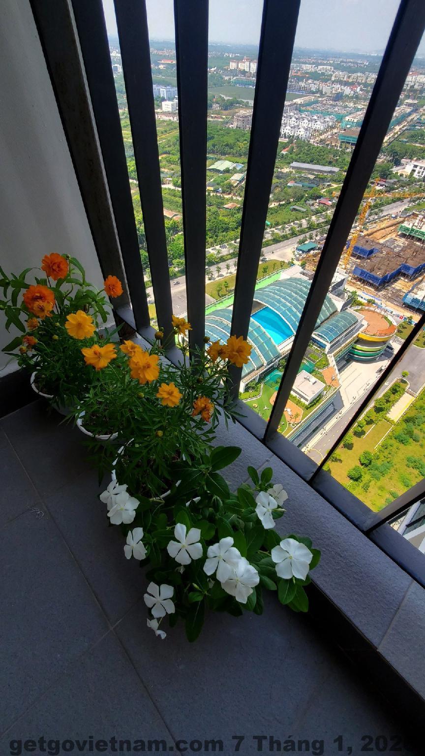 Căn hộ Gia Thịnh Homestay Ocean Park phù hợp nhóm bạn và gia đình