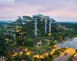 Đánh giá Venus Resort Flamingo Đại Lải by Hubihouse 2026: Có đáng ở? forest-in-the-sky-5-star