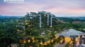 forest in the sky 5 star