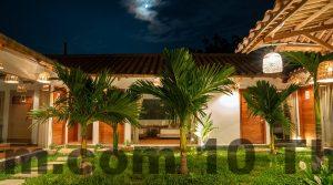 garden at the hotel 1