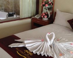 Haap Transit Hotel Nội Bài – Review chi tiết 2026: Có nên ở khi bay sớm? haap-transit-hotel