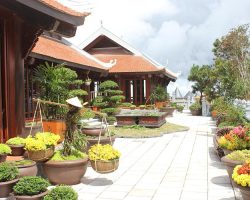 Nhà Nghỉ Hanoi Traveller Review 2026: Ở Phố Cổ Có Đáng Tiền? hanoi-traveller-hostel