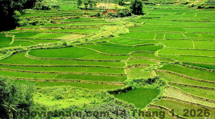 Khu vực trung tâm thành phố Hòa Bình gần Khách sạn Đồng Lợi