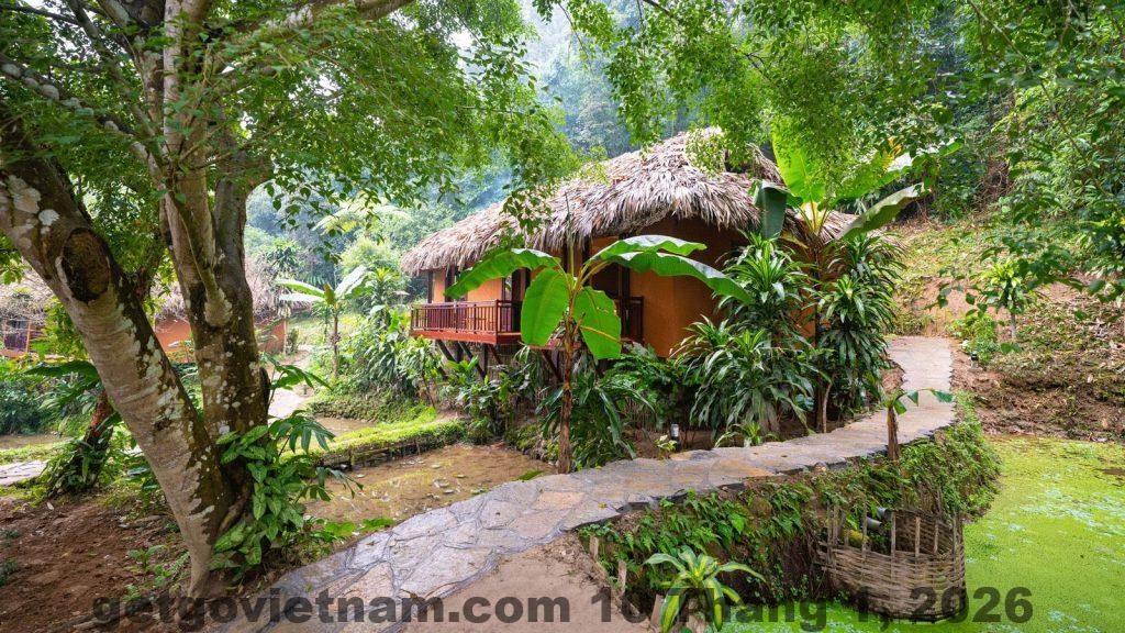 Nùng Gia HomeStay Review 2026: Nơi nghỉ dưỡng lý tưởng giữa lòng Hoàng Su Phì, Hà Giang 1 homestay hoang su phi 2