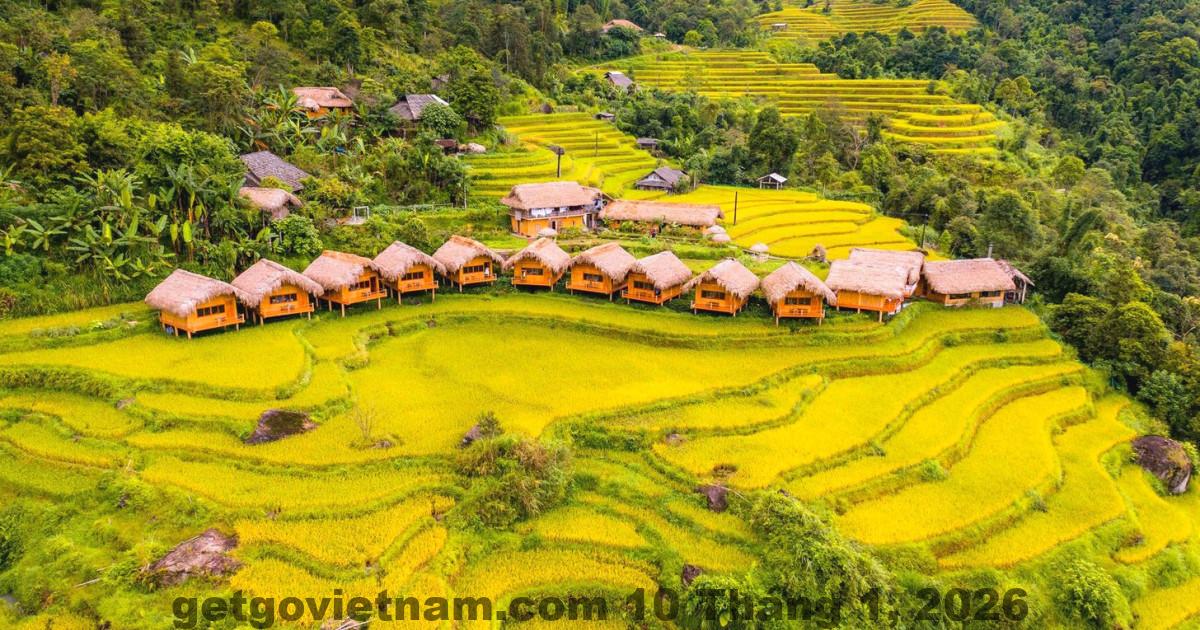 Không gian thiên nhiên bao quanh Hoangvu Homestay mang lại cảm giác yên bình, thích hợp cho những ai yêu thích sự tĩnh lặng và hòa mình vào cảnh quan núi rừng.