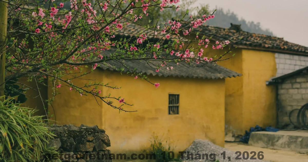 Khung cảnh tuyệt vời của Lung Cu Lake View Homestay