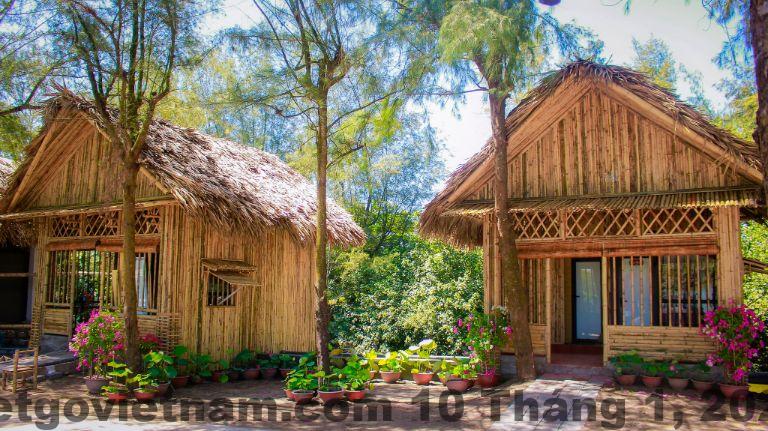Không gian sinh hoạt chung và thiên nhiên xung quanh homestay