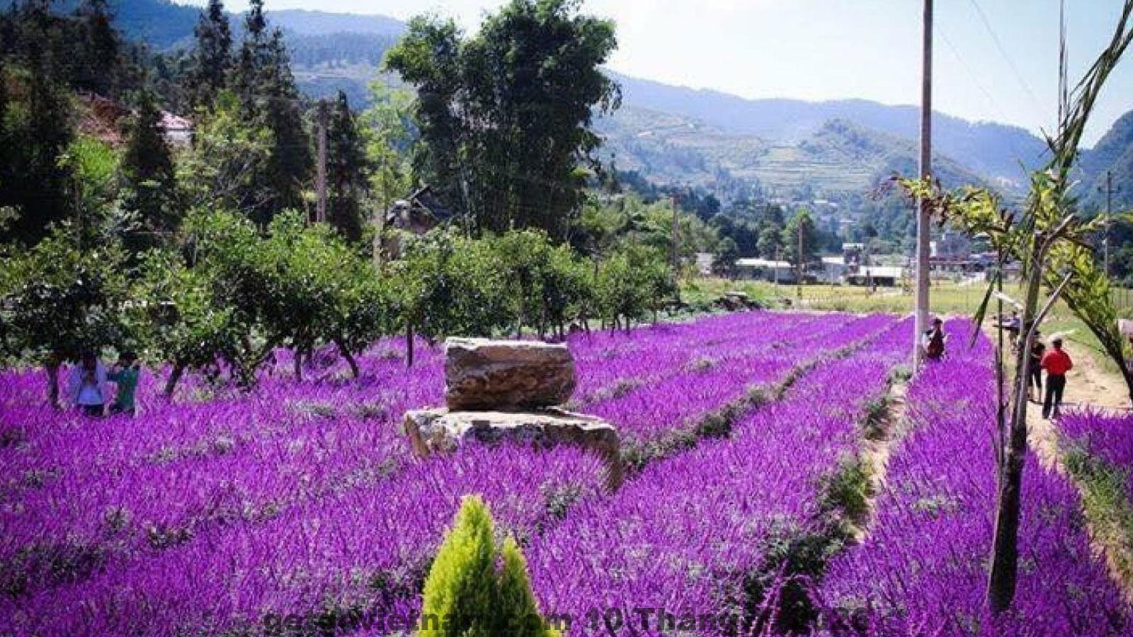 Không gian sinh hoạt chung tại Quyen Homestay Bắc Hà