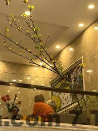 Golden Sun Hotel Hà Nội Review 2026: Ở Phố Cổ Có Đáng Tiền? 3 Phố Hàng Quạt Hà Nội – khu phố nhỏ đặc trưng của Phố Cổ, đông đúc và nhiều hoạt động du lịch