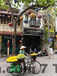 Không gian tiện ích cơ bản tại Madelise Adora Hotel & Travel