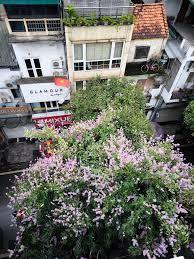 Khu sinh hoạt chung nhỏ tại Little Hanoi Old Quarter Hostel dành cho backpacker