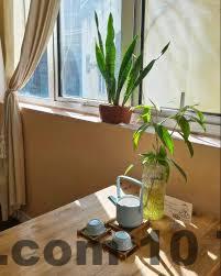 Review Daisy’s Stay Hà Nội 2026: Ở trung tâm nhưng có đáng tiền? 5 Khu vực lễ tân Daisy’s Stay với nhân viên thân thiện