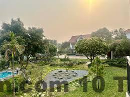 Toàn cảnh khu vực Minh Phú Sóc Sơn với nhiều cây xanh