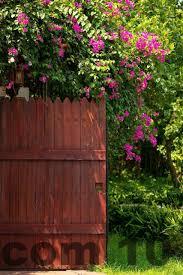 Hồ bơi ngoài trời tại GMN Ecogarden Villa Sóc Sơn