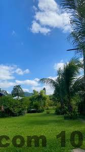 Review Vườn của Nắng Sóc Sơn 2026: Có Đáng Đi Trốn Cuối Tuần? 7 Không gian vườn yên tĩnh tại Vườn của Nắng Sóc Sơn