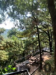 Nhân viên Khách sạn Bảo Long hỗ trợ khách nhiệt tình tại quầy lễ tân