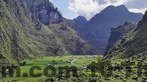 Không có hồ bơi, gym hay spa, nhưng thiên nhiên xung quanh là một tiện ích vô giá.