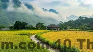 Nhân viên thân thiện tại Local Homestay Du Gia