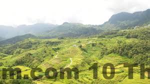 Một góc nhìn từ trong phòng ra ngoài khuôn viên homestay.