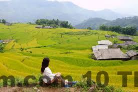 Đội ngũ nhân viên tại HillHome luôn niềm nở và tận tình.