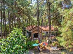 Đánh giá Pine Hill Villas & Camping 1 Sóc Sơn 2026: Có đáng ở? img_1768031560564