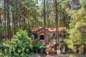 Đánh giá Pine Hill Villas & Camping 1 Sóc Sơn 2026: Có đáng ở? 1 img 1768031560564