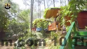 Đường vào Pine Hill Villas & Camping 1 tại Minh Phú Sóc Sơn, bao quanh bởi rừng thông