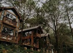 Đánh giá Amaya Retreat Sóc Sơn 2026: Resort rừng thông đáng trải nghiệm? img_1768032997832