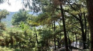 Hoàng hôn tại Dây Diều Cerf Volant Sóc Sơn mang lại trải nghiệm thư giãn