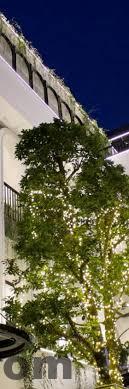 Quán ăn xung quanh Xenia House Cao Bằng